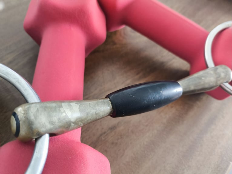 Sprenger Nathe Wassertrense doppelt gebrochen mit Sensogan | 13,5 cm
