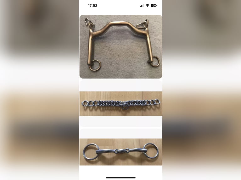 Kandare LorenziniAnatomisch 14,5cm 7cm Anzüge+Kinnkette+Unterlegtrense Neuwertig