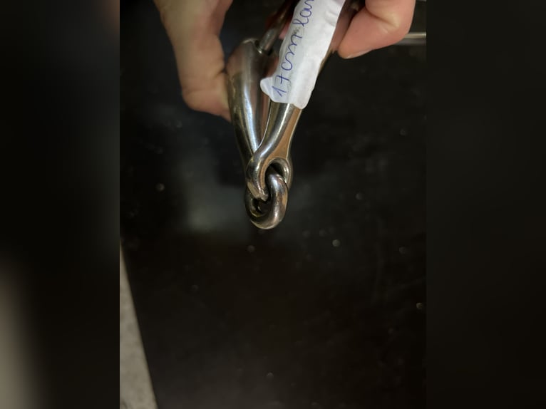 Wassertrense, einfach gebrochen