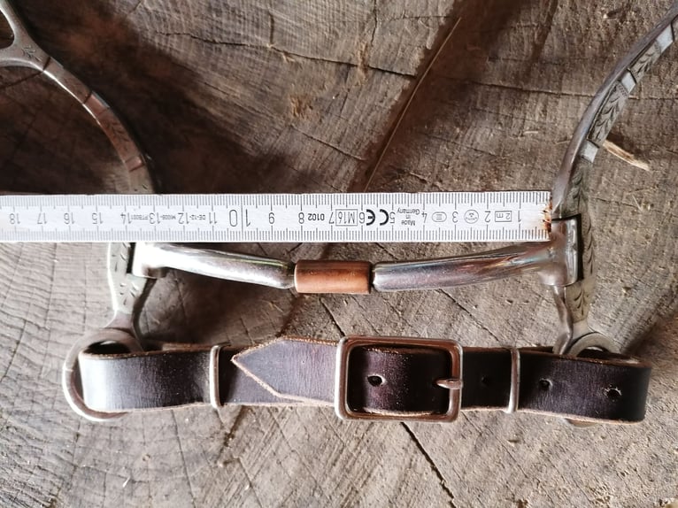 Bit mit Shanks