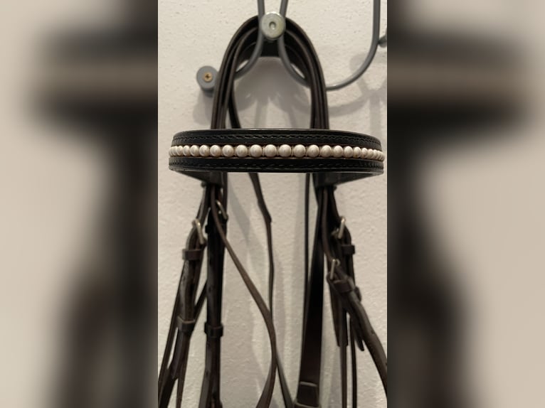 Kandare WB Leder schwarz. mit Gebissen