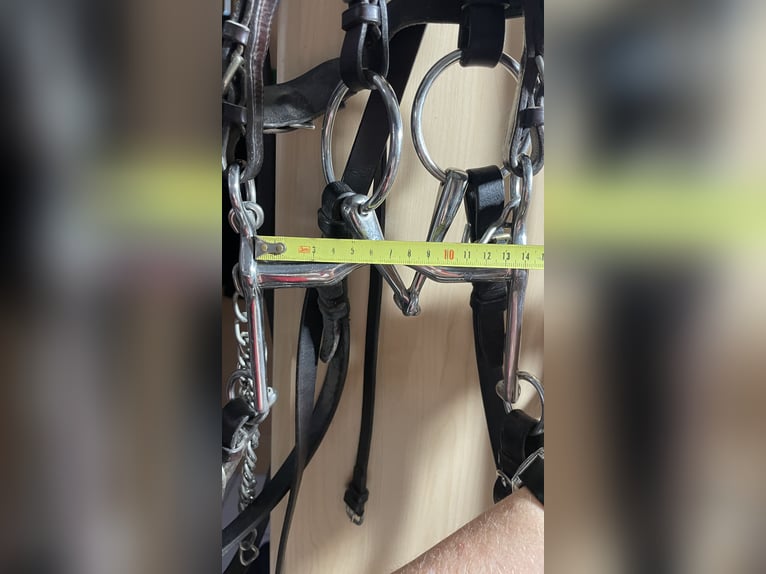 Kandare WB Leder schwarz. mit Gebissen