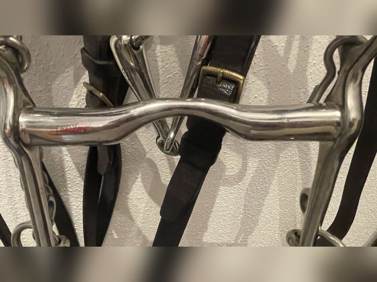 Kandare WB Leder schwarz. mit Gebissen