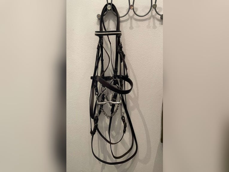 Kandare WB Leder schwarz. mit Gebissen