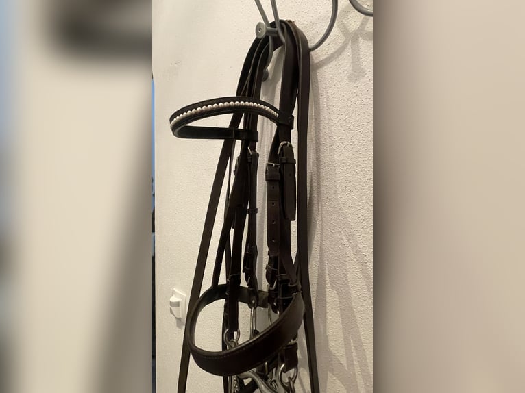 Kandare WB Leder schwarz. mit Gebissen