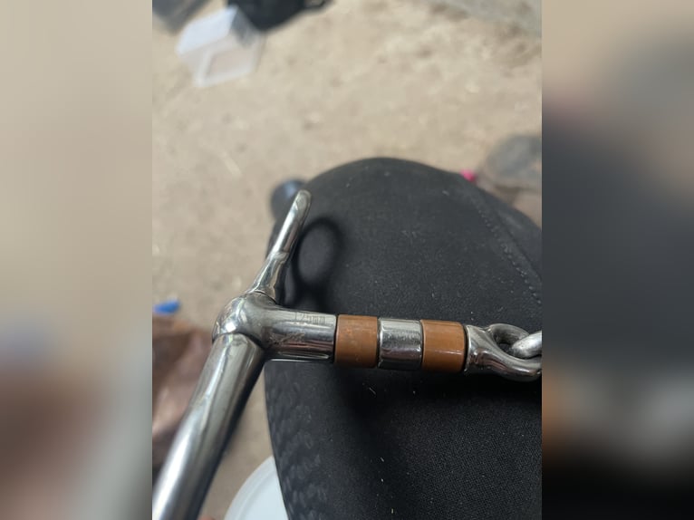 Kupfer/ Stahl Kandare