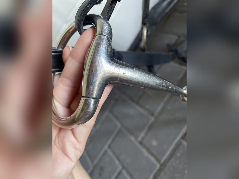 Busse Olivenkopfgebiss einfach gebrochen (2 mal da)