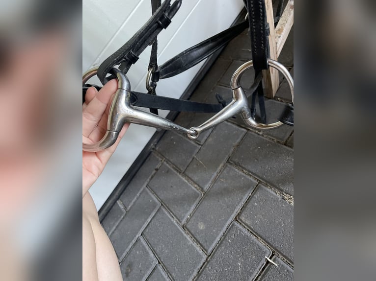 Busse Olivenkopfgebiss einfach gebrochen (2 mal da)