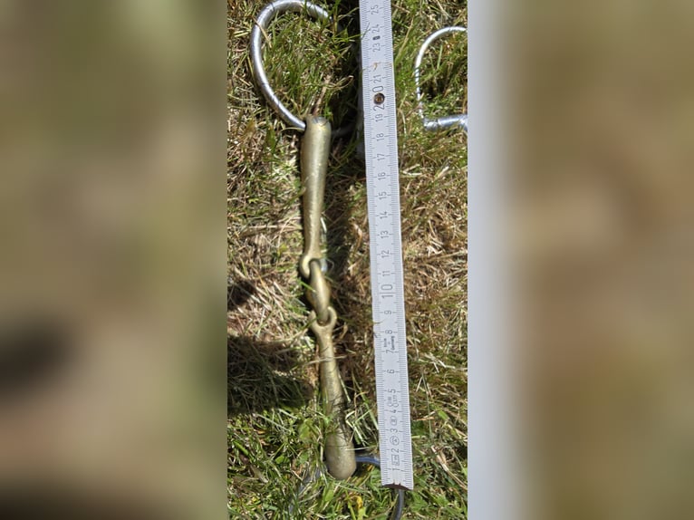 Verschiedene Gebisse für die Großen!