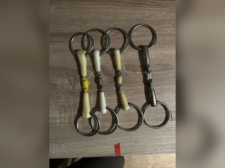 Verschiedene Gebisse 