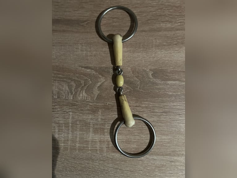 Verschiedene Gebisse 