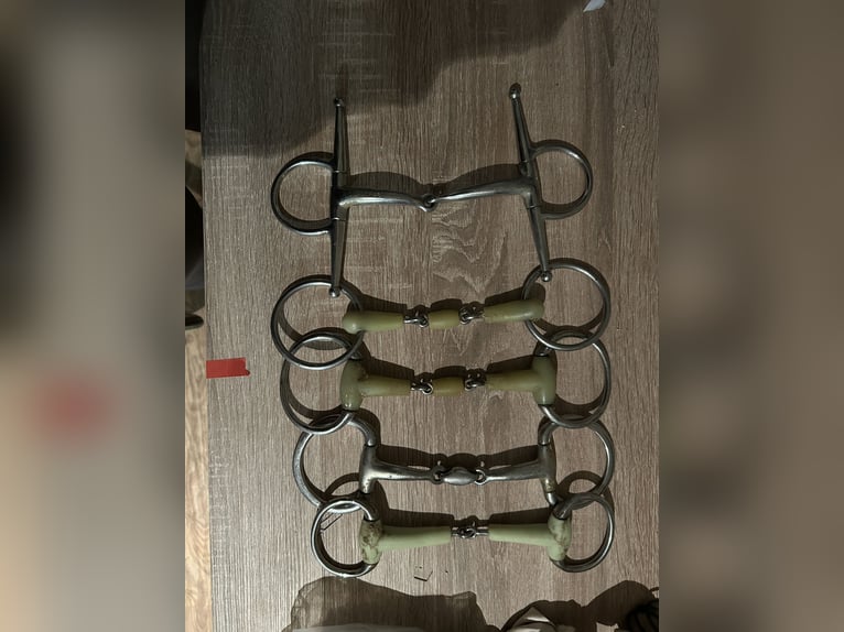 Verschiedene Gebisse 