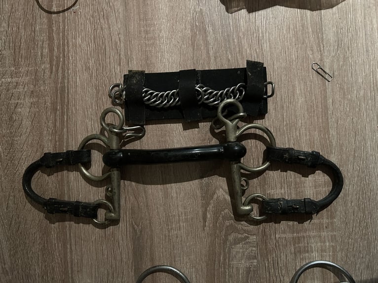 Verschiedene Gebisse 