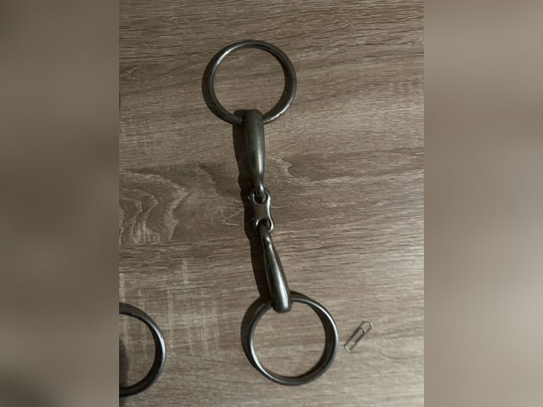 Verschiedene Gebisse 