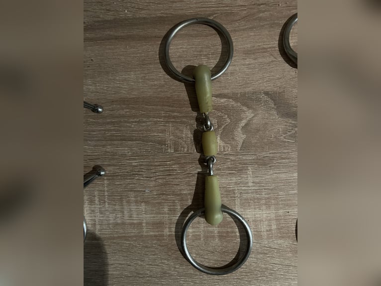 Verschiedene Gebisse 