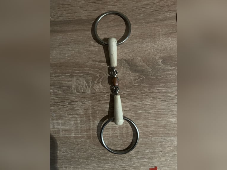 Verschiedene Gebisse 