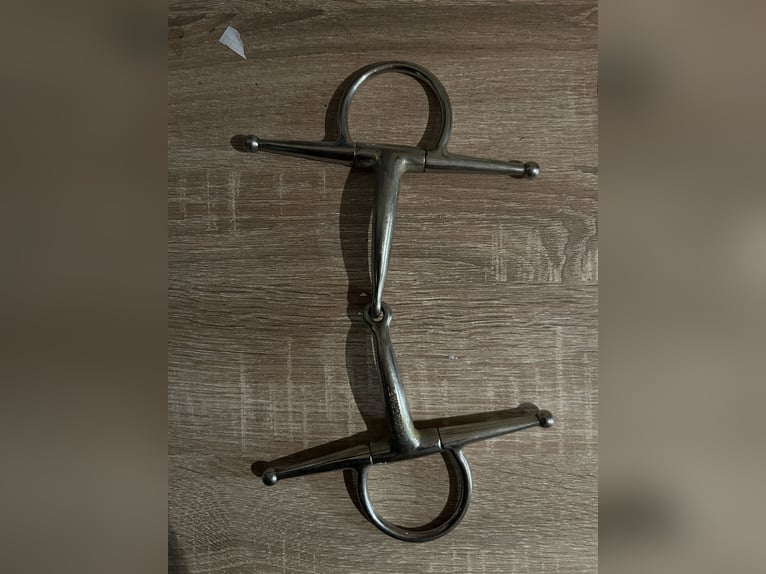 Verschiedene Gebisse 