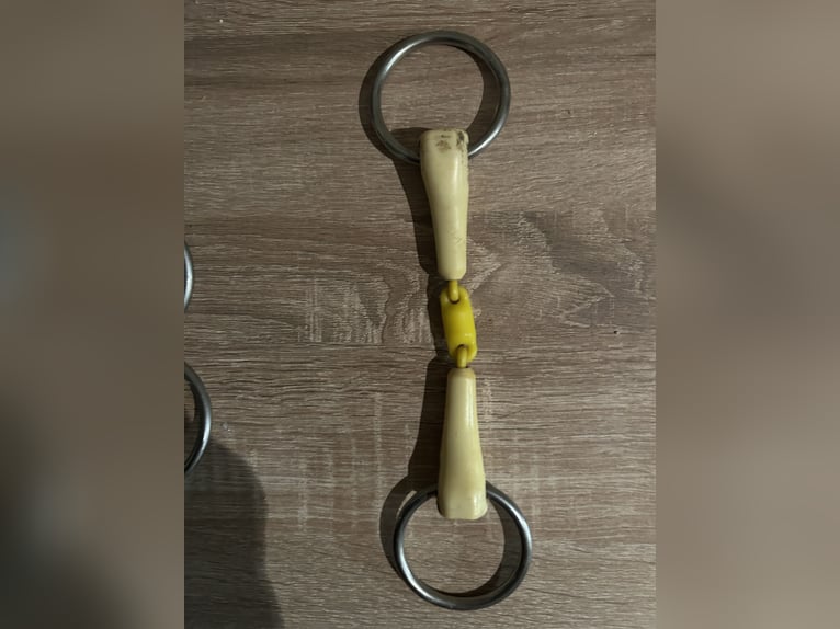 Verschiedene Gebisse 