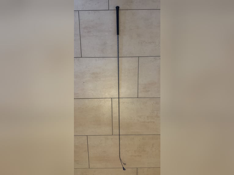 Dressurgerte (Länge 120cm)