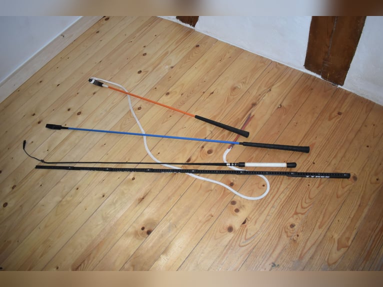 GERTE UND HORSEMANSHIPSTICK PREIS JE ARTIKEL