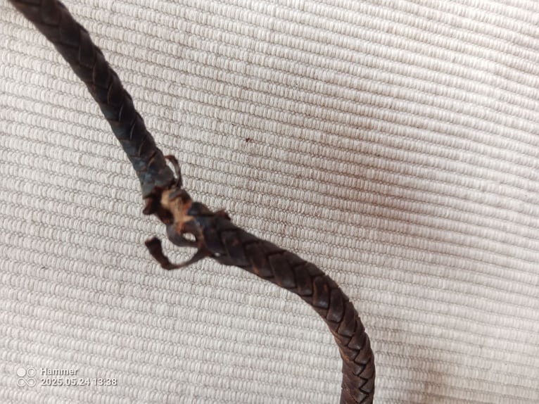 Vintage Antik Viktorianisch Edwardianisch Bambus und Leder Reiten Jagd Horn Griff