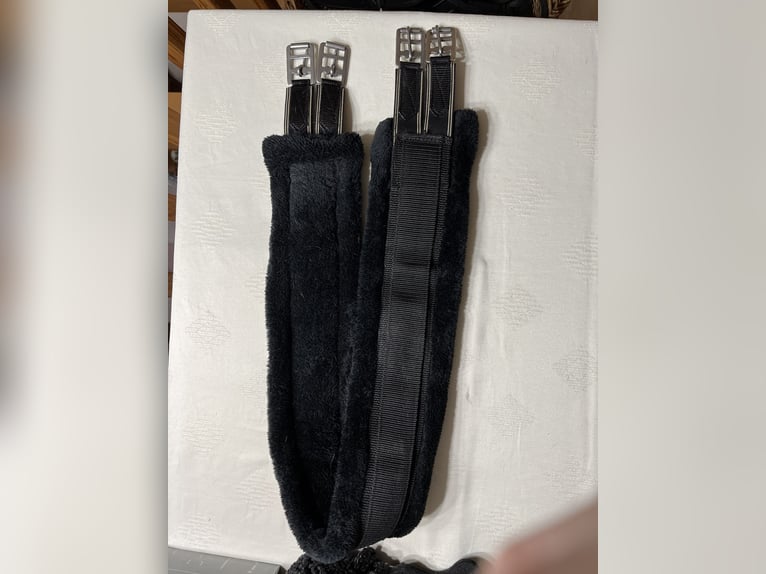 Sattelgurte abzugeben 