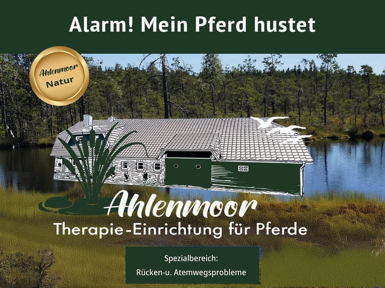 Ahlenmoor Therapie-Einrichtung für Pferde