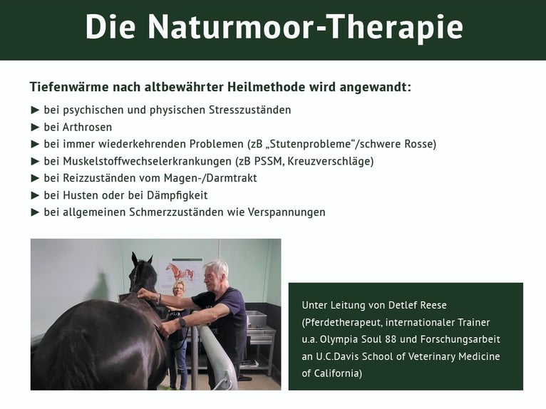 Ahlenmoor Therapie-Einrichtung für Pferde