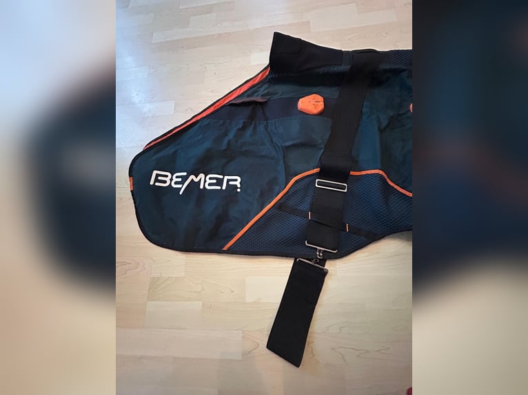 Bemer Horse Set