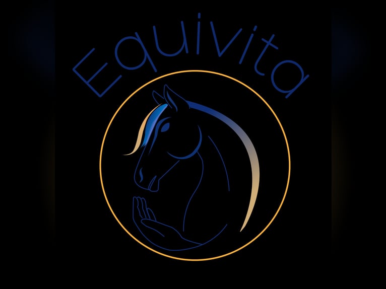 Biete Pferdephysio- und Osteotherapie rund um Pinneberg und Umgebung