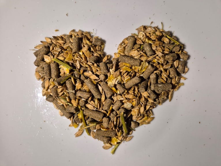 Biete Pferdephysio- und Osteotherapie rund um Pinneberg und Umgebung