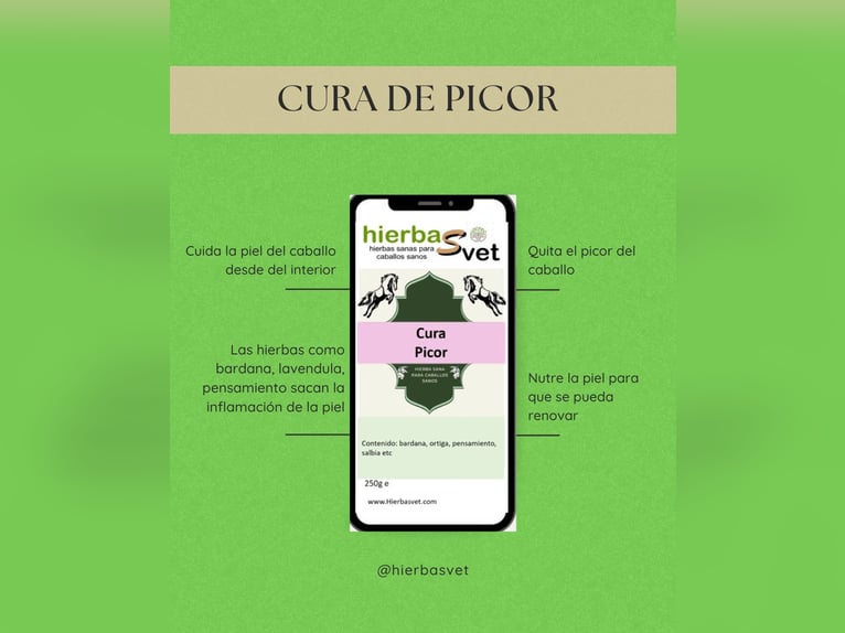 Dermatitis estival equina