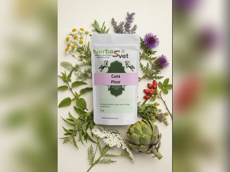 Dermatitis estival equina