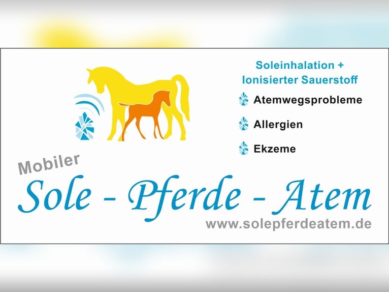 Sole- Pferde- Atem Ihre mobile Pferdeinhalation