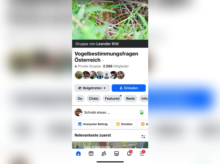 EquiMove dental Vitalpilzmischung 