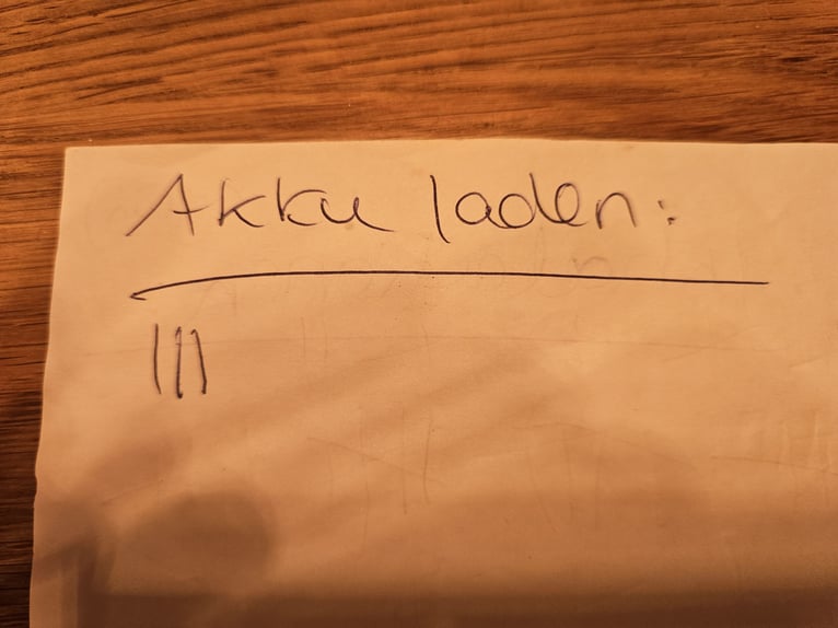 Flexineb E3 Inhalator MEDI 04/2024 mit Zubehör PFERD PONY