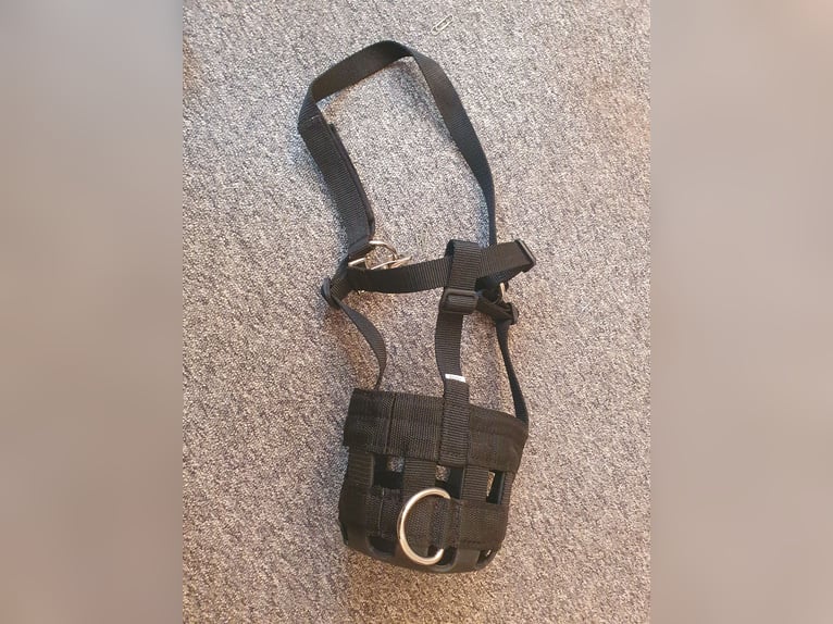 Fressbremse für Ponys 