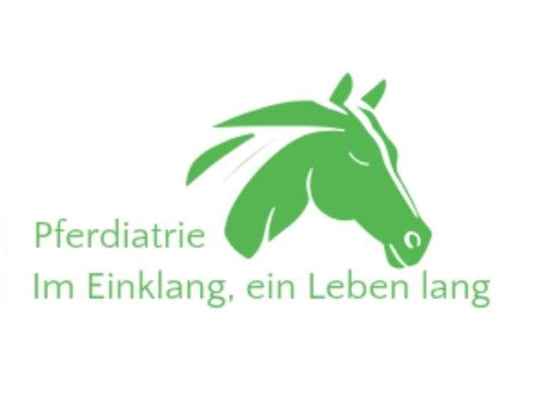 Futterberatung für dein Pferd 