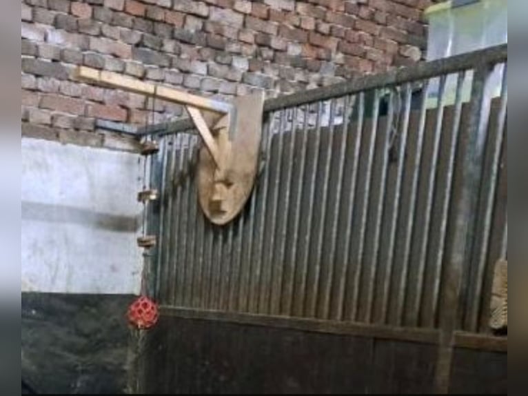 Hochwertiges Boxenspielzeug 