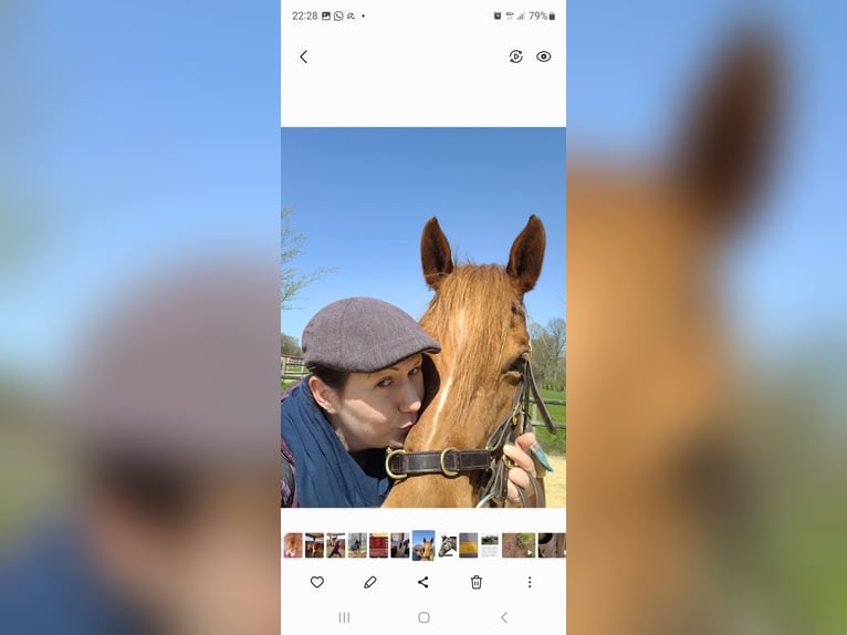 Kursangebot Tageskurs Bewegungsanalyse