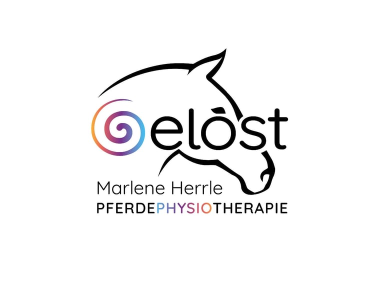 Pferdephysiotherapie 