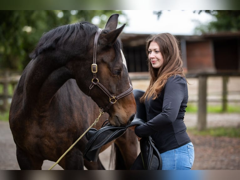 Pferdephysiotherapie trifft Sattelberatung - Zum tragfähigen Pferd mit passendem Sattel?
