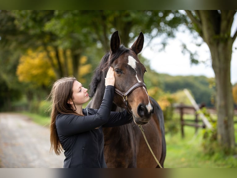 Pferdephysiotherapie trifft Sattelberatung - Zum tragfähigen Pferd mit passendem Sattel?