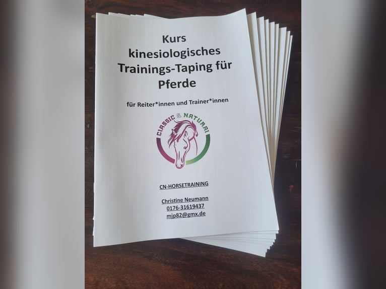 Sanfte Osteopathie und Training für Pferde