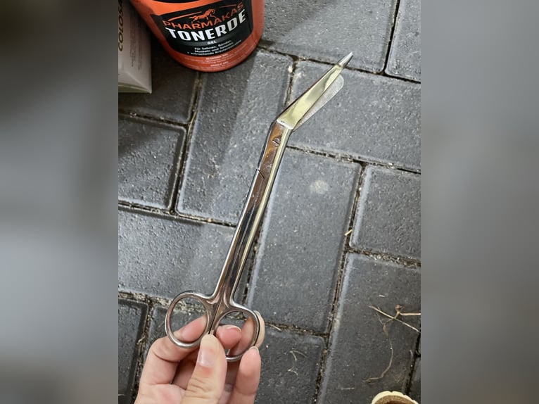 Stallapotheke (teilweise unbenutzte Produkte) Colosan dabei!