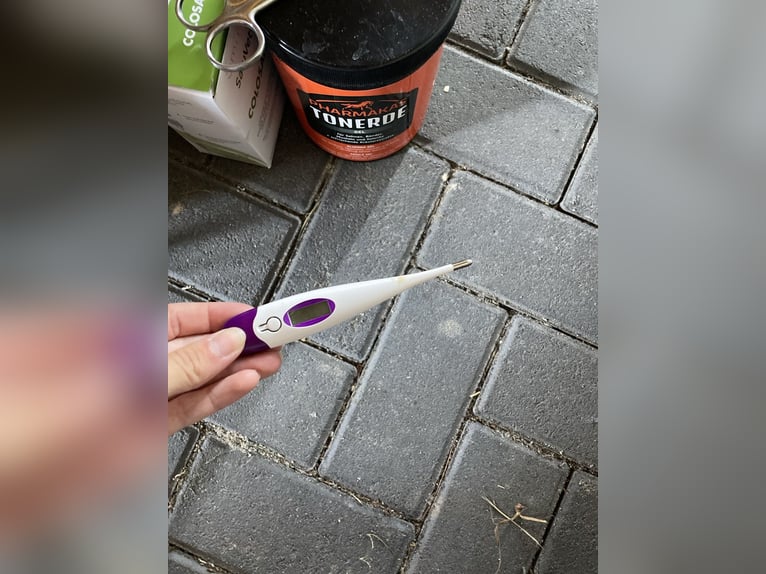 Stallapotheke (teilweise unbenutzte Produkte) Colosan dabei!