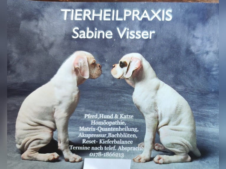 Tierheilpraxis 