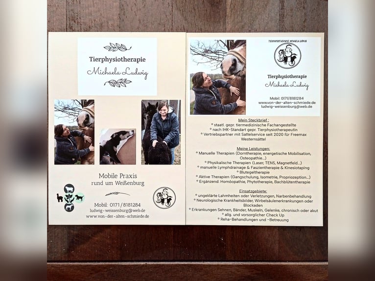 Tierphysiotherapie Raum Weißenburg 