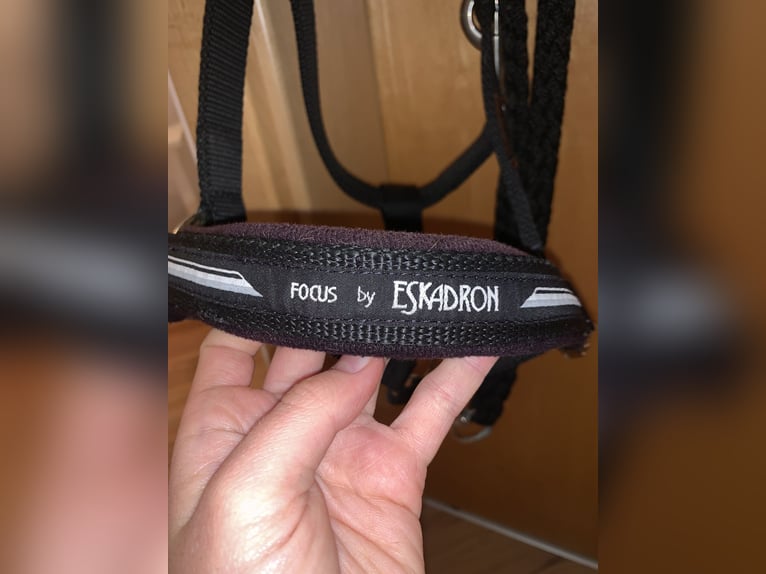 Focus by Eskadron Halfter mit Strick schwarz - Gr. Warmblut 