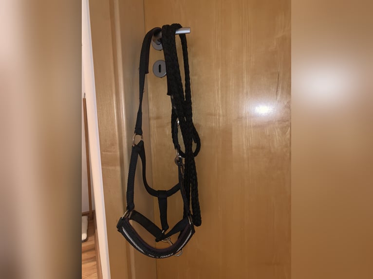 Focus by Eskadron Halfter mit Strick schwarz - Gr. Warmblut 